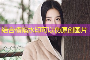 上海的艺术文化活动一览